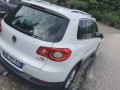 shitet-small-3